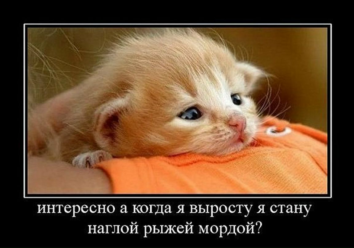 Марина Михайлова | Киев