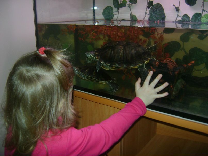 Светлана Емельянова | Советск