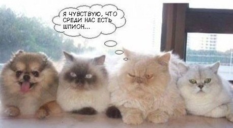 Тарас Филатов ◄► | Boston