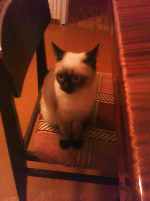 Мария Ткачёва | Казань