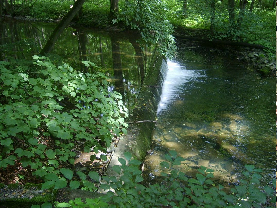 Ирина Плотникова | Магнитогорск