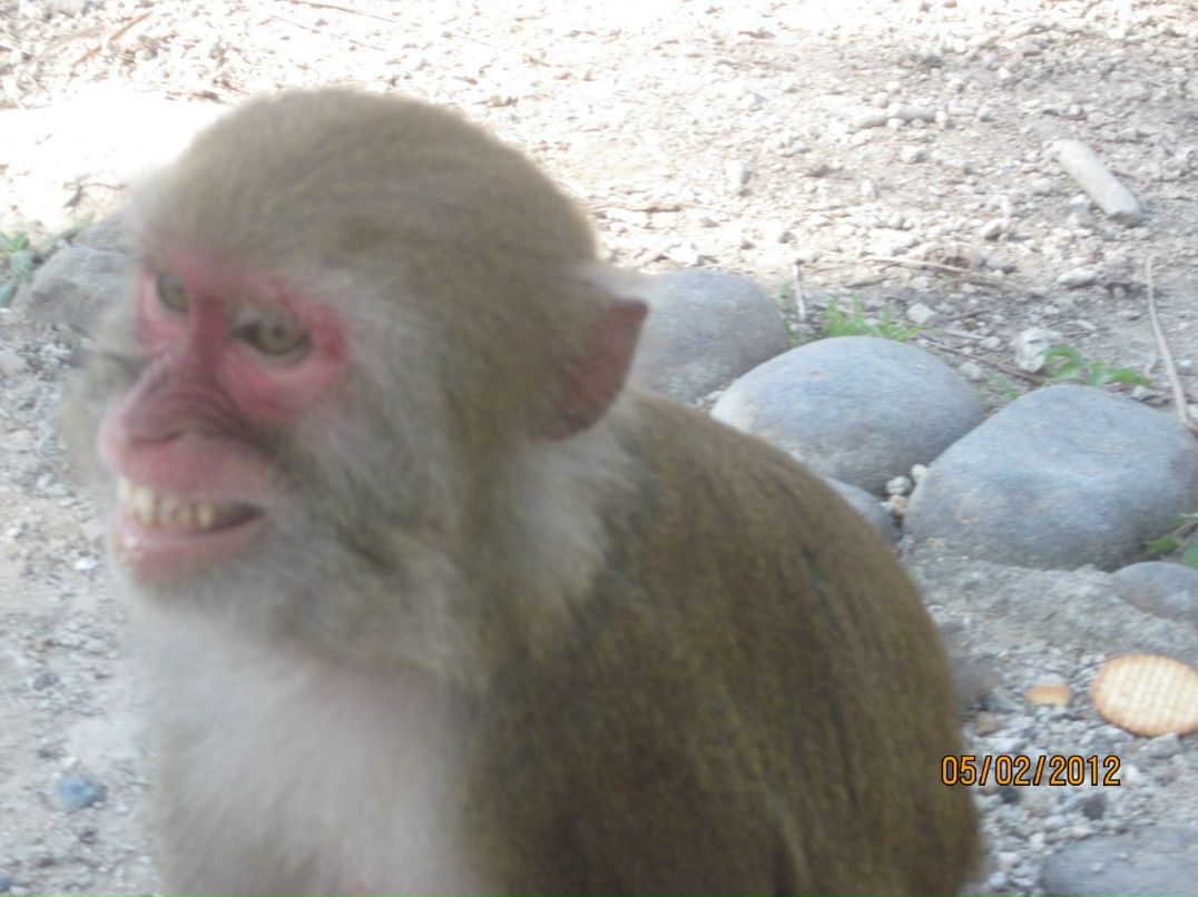 Геннадий Бычаев | Анива