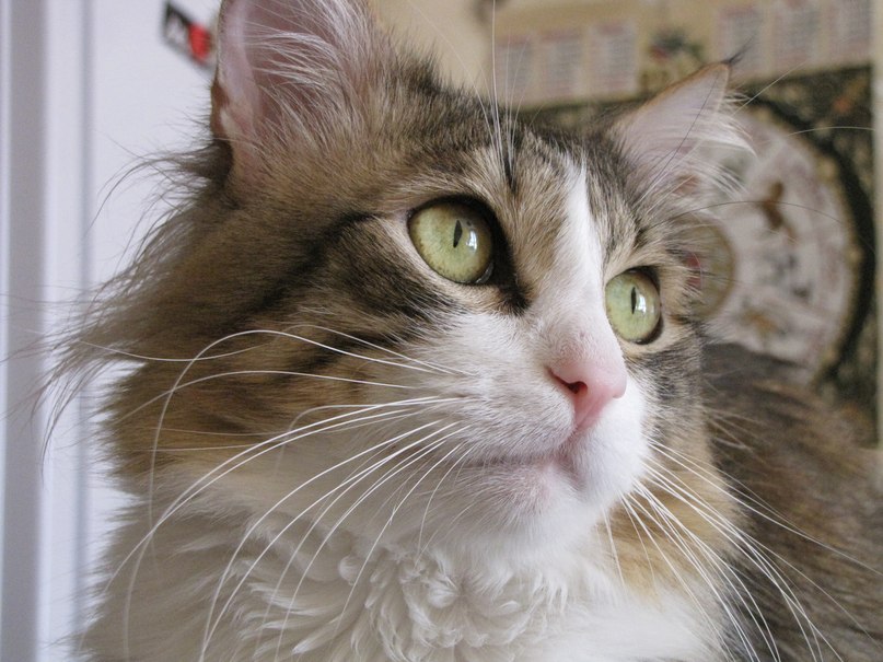 Оксана Мартынова | Москва