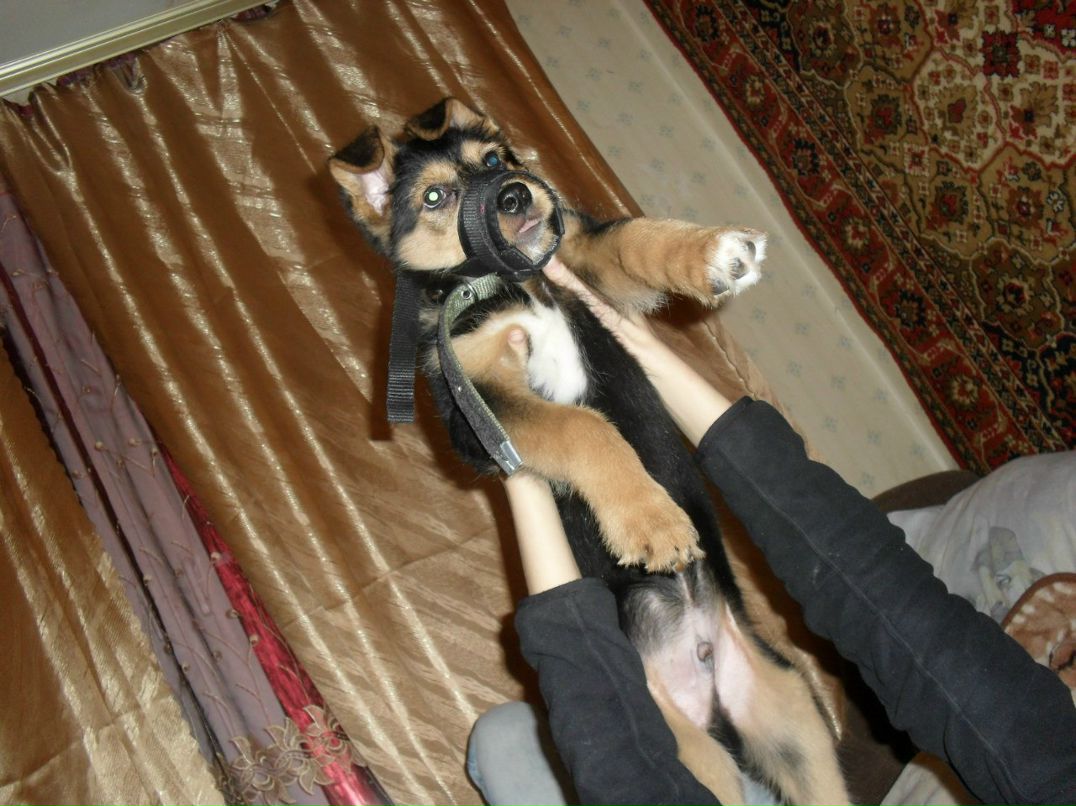 Виталия Кононова | Видное