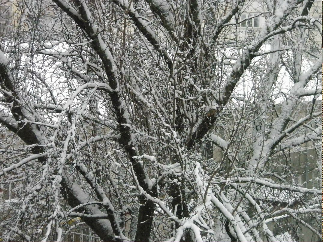 Дмитрий Тягунов | Киев