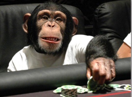 Саша Шукан самая хуевая страница | Могилёв