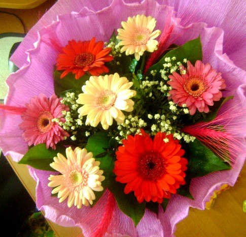 Рената Мизей | Минск