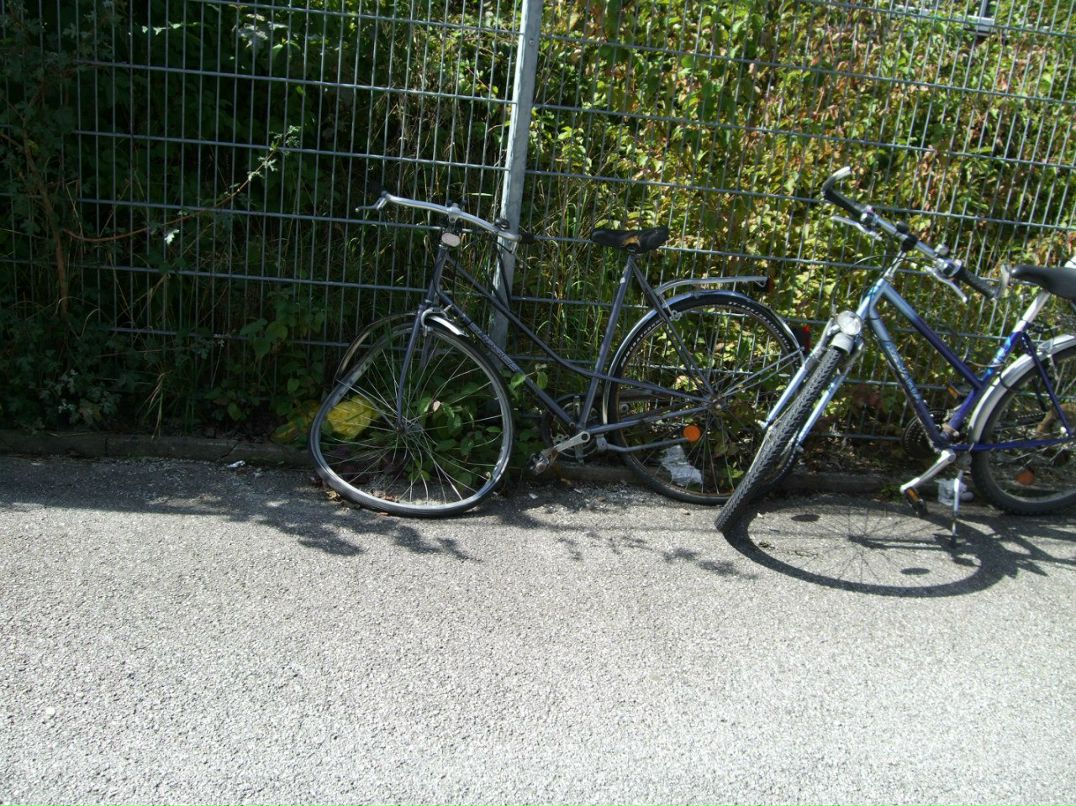 Коля Дерачиц | Киев