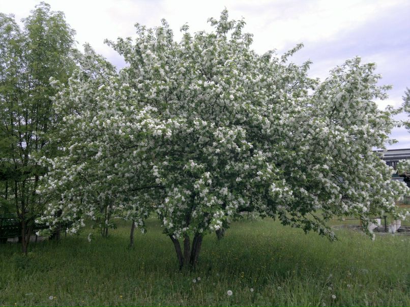 Катя Никитина | Чебоксары