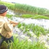 Аватар: Вітальо Малько