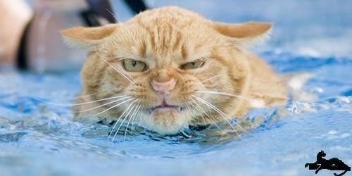 Alex Mavisakalian | Ереван