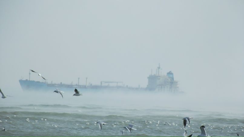 Дмитрий Липилин | Симферополь