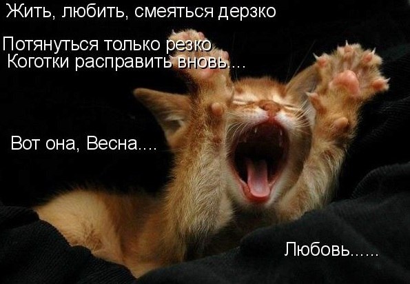 Екатерина Волкова | Москва