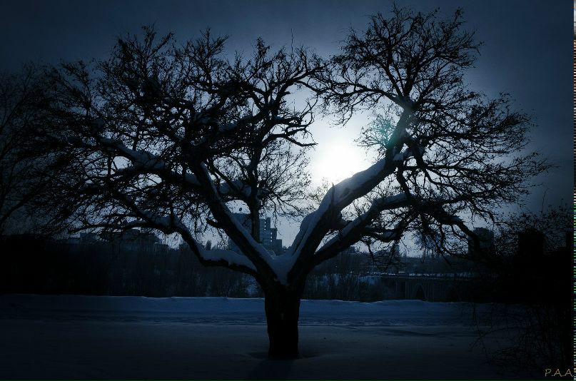 Александр Ребриков | Волгоград