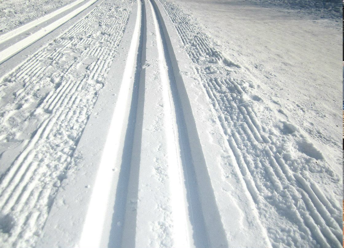 Сергей Куршавелев | 