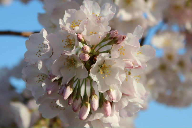 Валентина Кингсолвер | Albuquerque