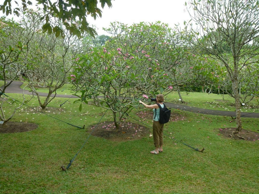 Александр Стуглев | Санкт-Петербург