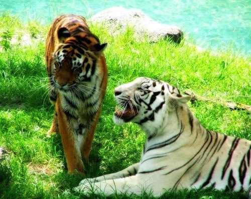 Александр Захаров | Москва