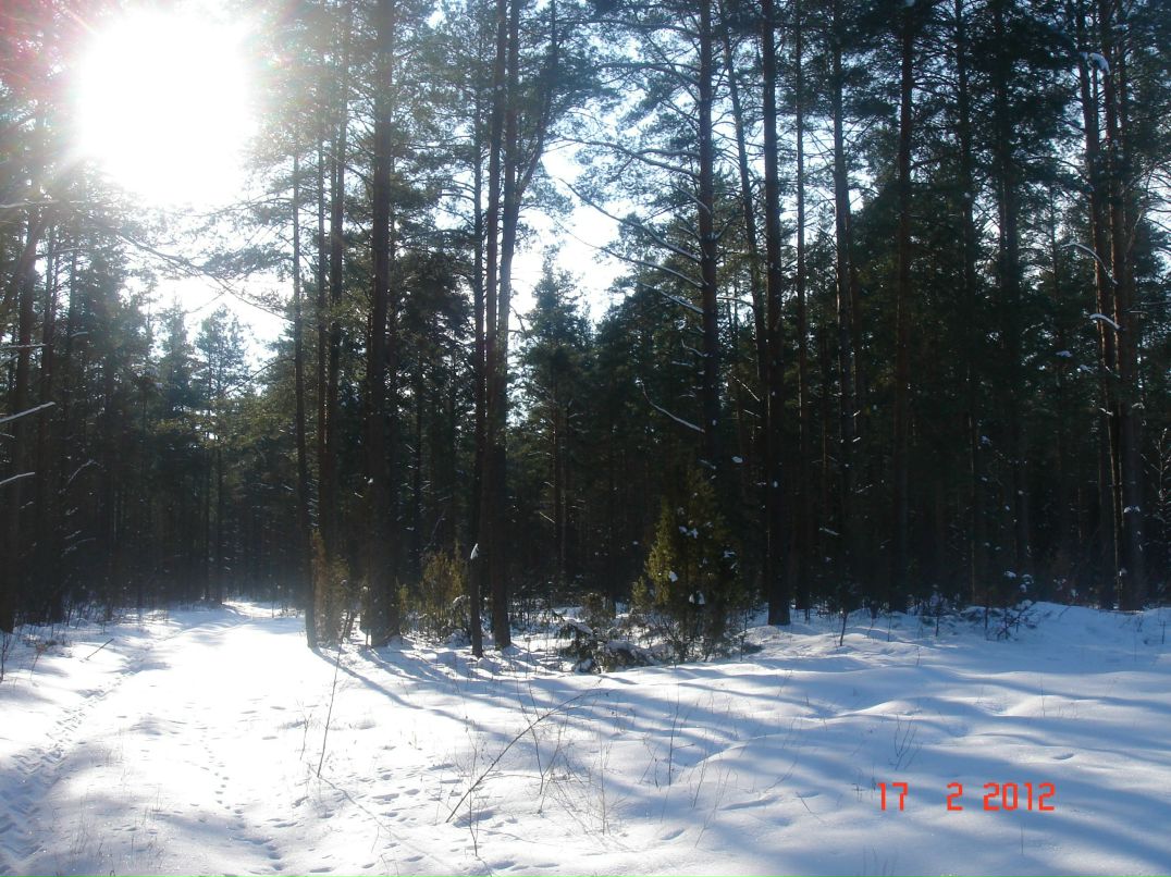 Иван Карамышев | 