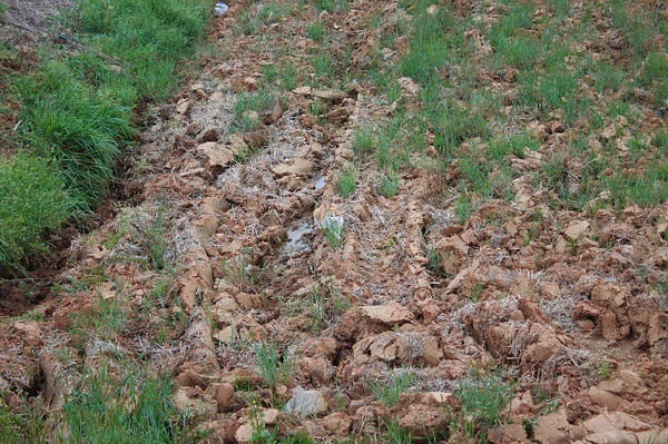 №69, Виталий Гуммешаймер, 40 лет, Тула №69, Виталий Гуммешаймер, 40 лет, Тула