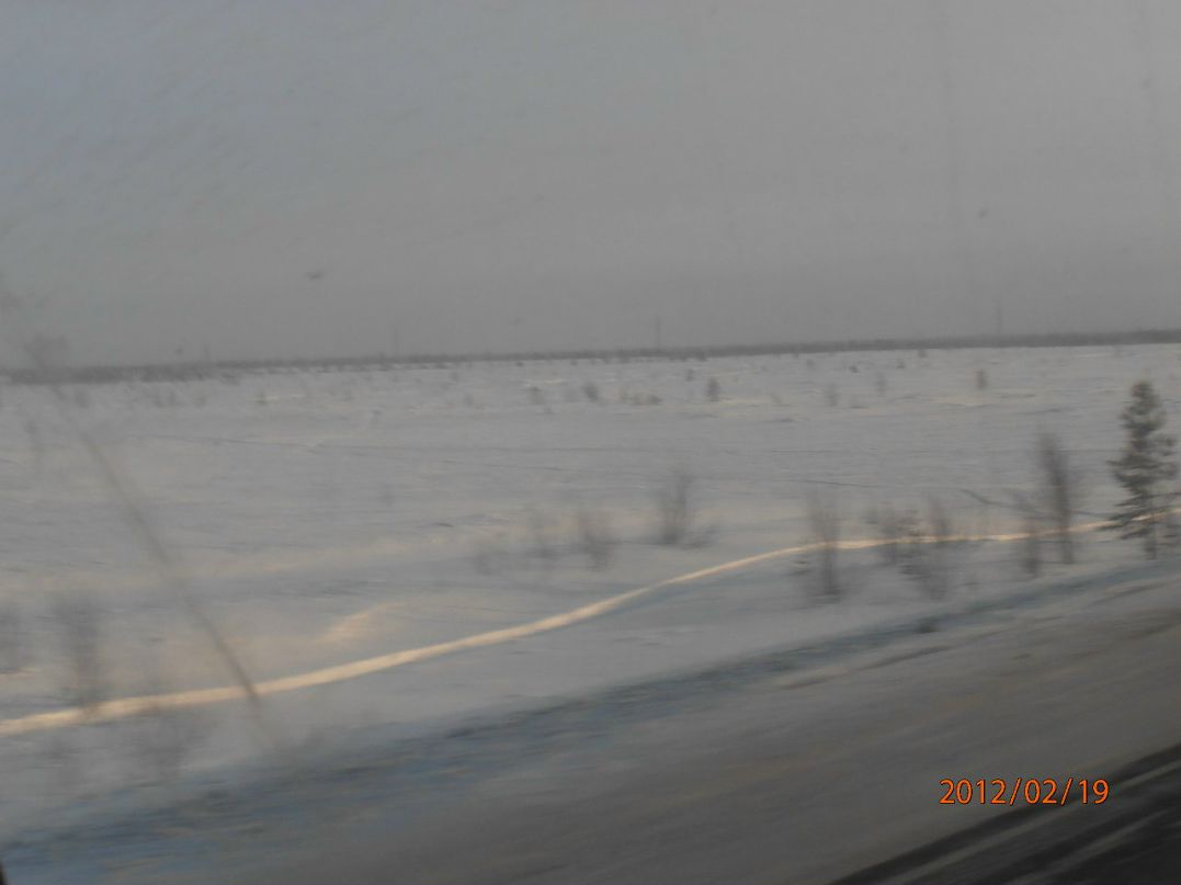 Мишаня Боданин | Пермь