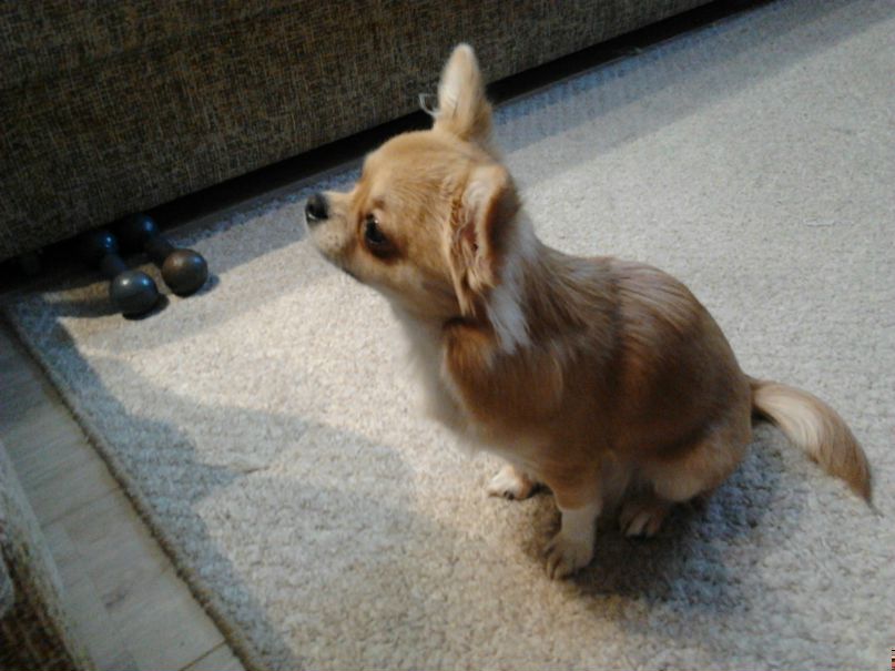 Катя Козлова | Днепр (Днепропетровск)