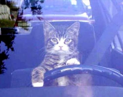 Надежда Егорова | Чебоксары