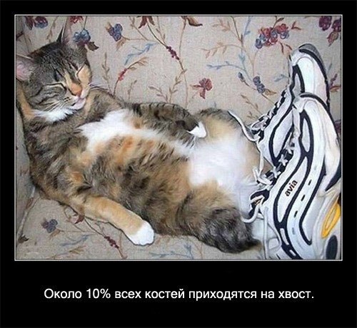 Ирина Окулова | 