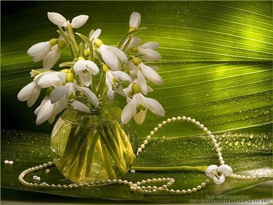 Ирина Козина | Уфа