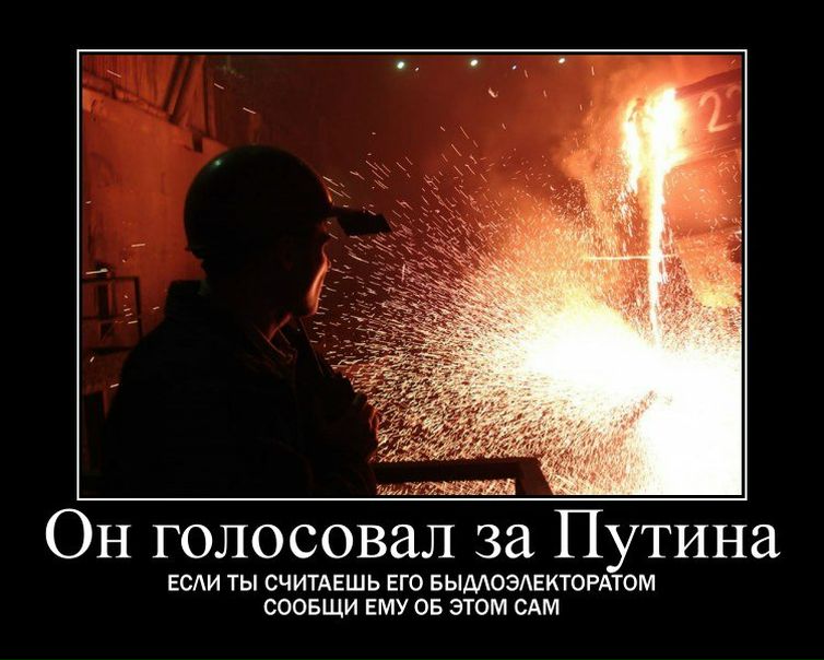 №1, Emperor Penguin, 29 лет, Pengilly №1, Emperor Penguin, 29 лет, Pengilly