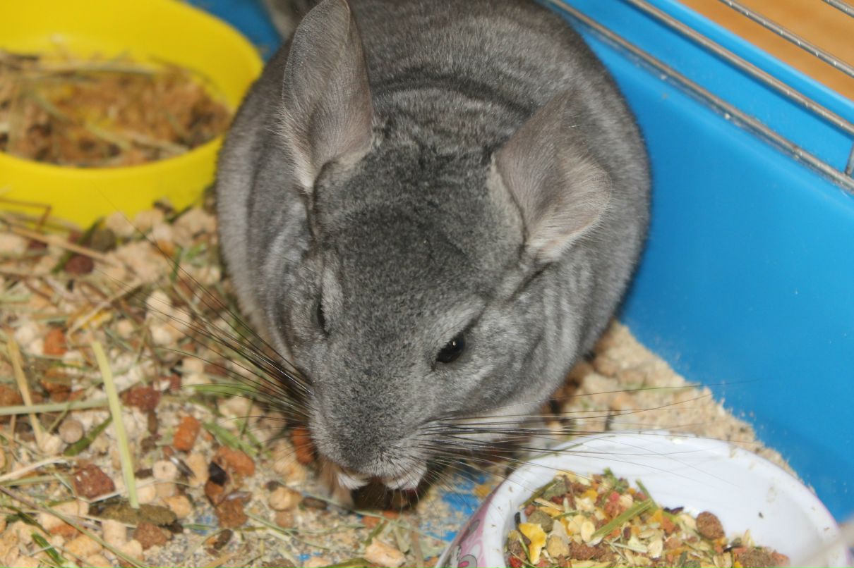 Александр Лукашук | Йошкар-Ола