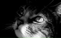 №39 Алексей Тимошин 18.06: профиль, фото, статус - ВКонтакте