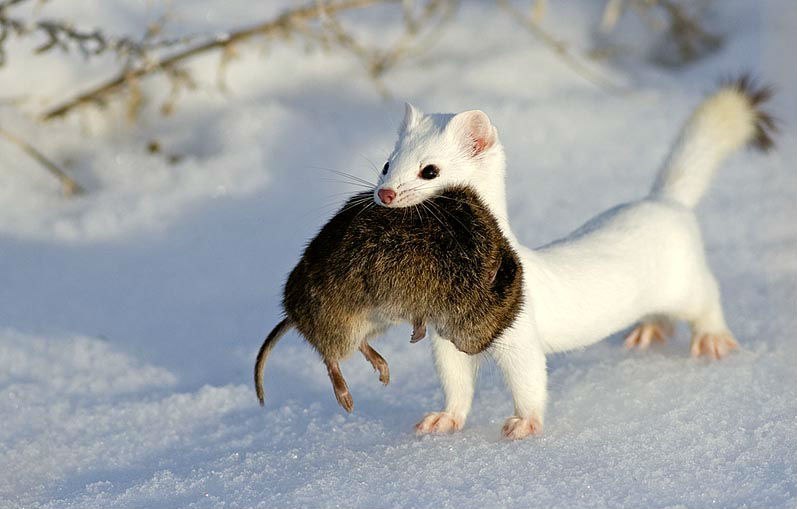 Анастасия Василенко ♡  Опупенная Девка ♡ | Запорожье
