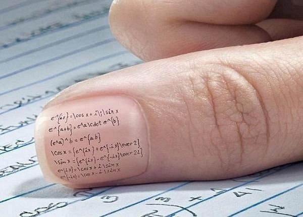 №19, Поля Осипова, Новосибирск №19, Поля Осипова, Новосибирск