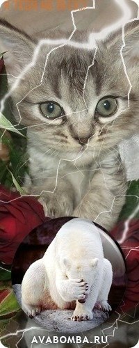 Алексей Жуков | Омск