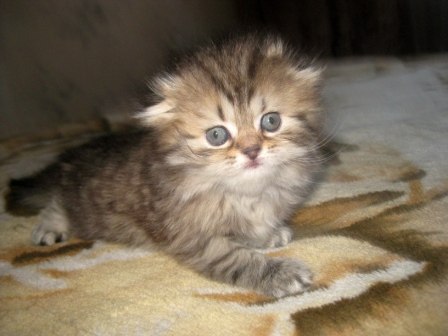 Таисия Пересыпайло | Ростов-на-Дону