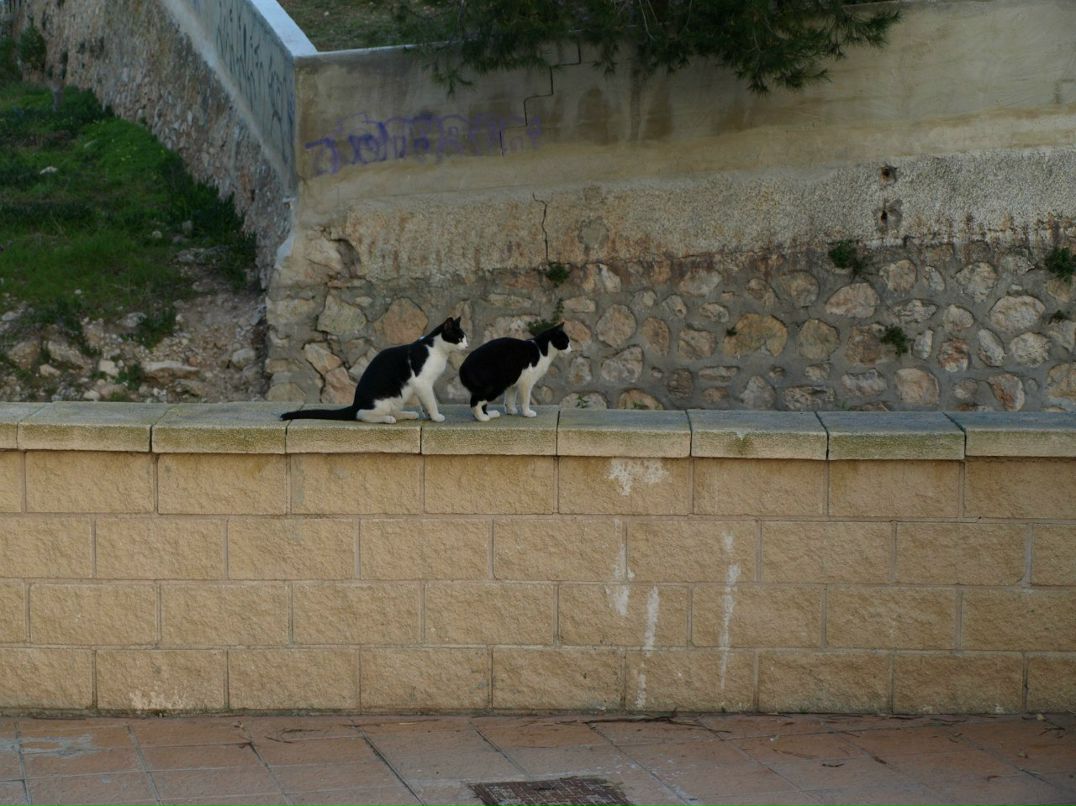 Гульнара Ибрагимова | 