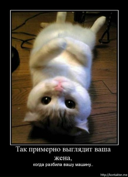 №76, Яна Дмитриева, 124 года, Днепр (Днепропетровск) №76, Яна Дмитриева, 124 года, Днепр (Днепропетровск)