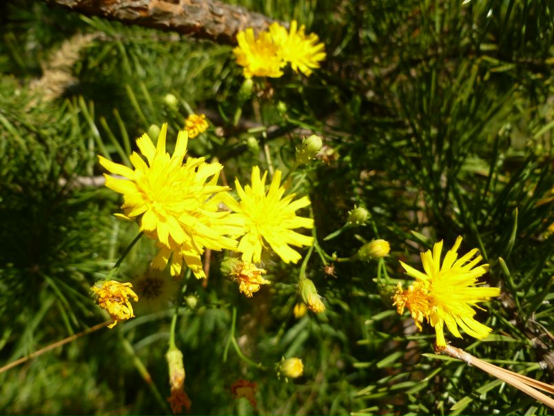 №18, Броня Сопилка, Одесса №18, Броня Сопилка, Одесса