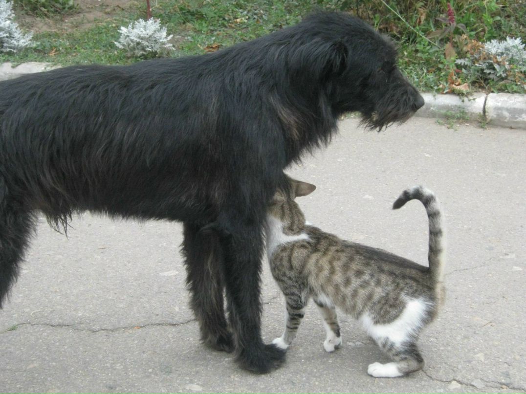 Наталья Загуляева | 