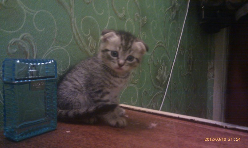 Валерий Чуриков | Мурманск