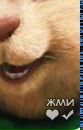 №8 Татьяна Меньшикова 30.11.1999: профиль, фото, статус - ВКонтакте