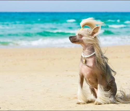 Антонина Лазоренко | Киев