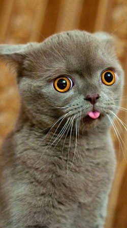 Ольга Демирова | Болград