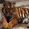 Аватар: Sanek Богомяков