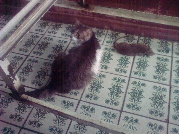 Николай Белозерцев | Красноармейск