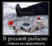 Юрий Кравченко фотография #24