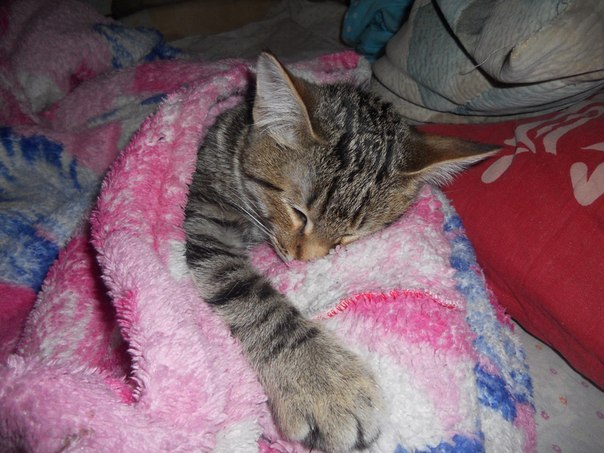 Зарина Каримова | Уфа