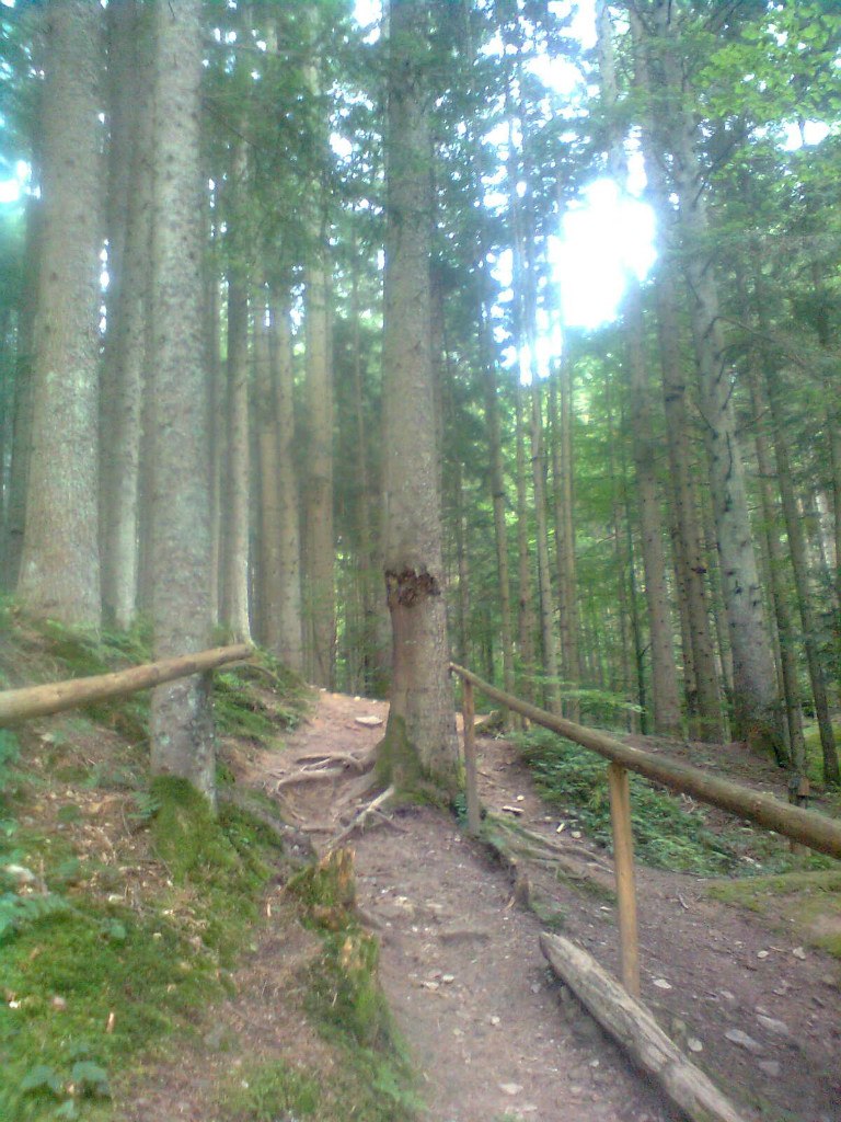 Лена Петрова | 