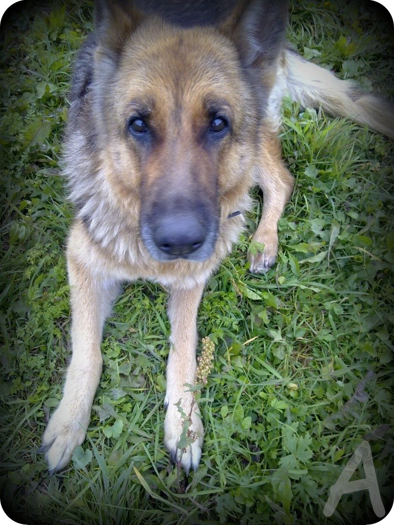 Anna Ivanova | Санкт-Петербург